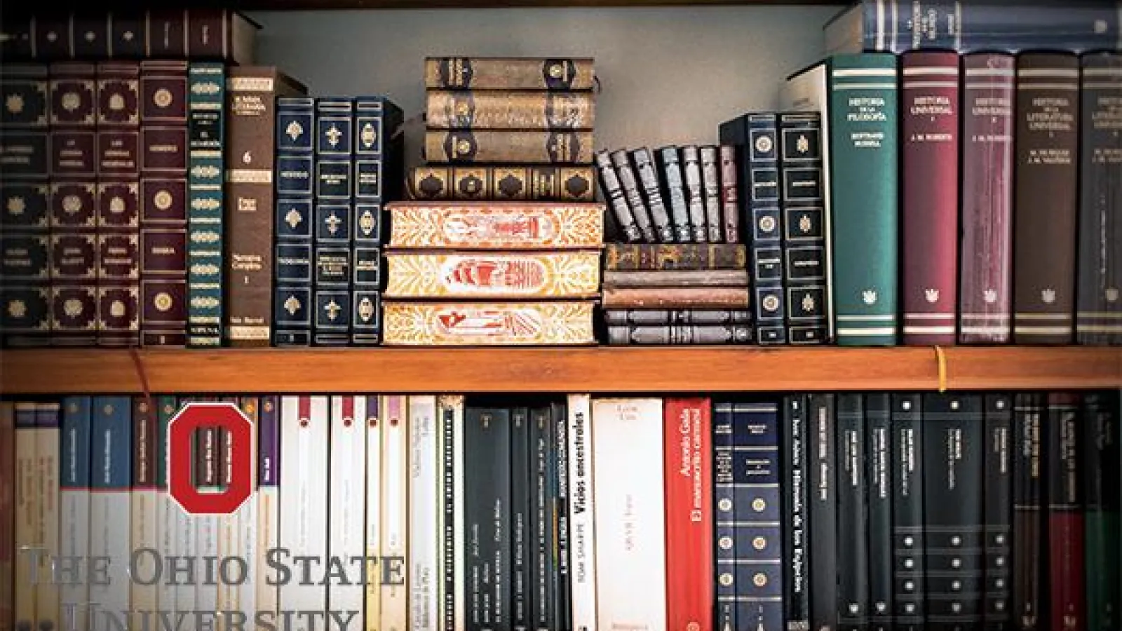 Scholarly books on a bookshelf