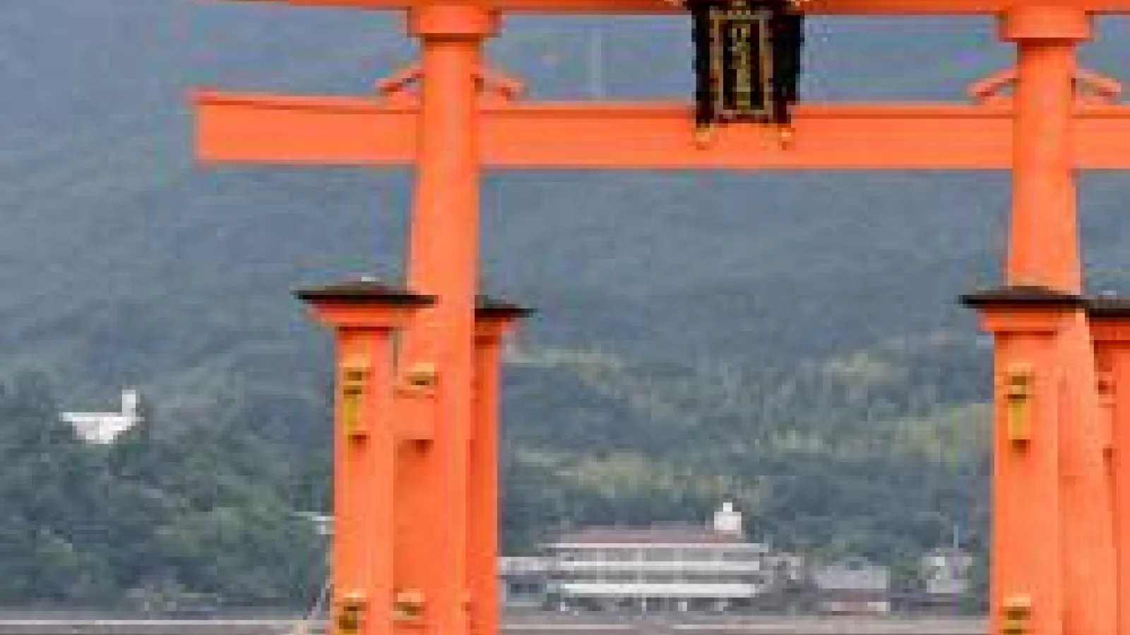 The red arch of a shinto temple entrance over water