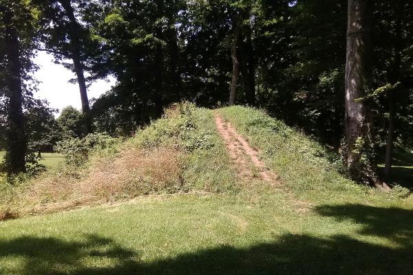 a photo of a grassy mound surrounded by trees with a path cutting through it